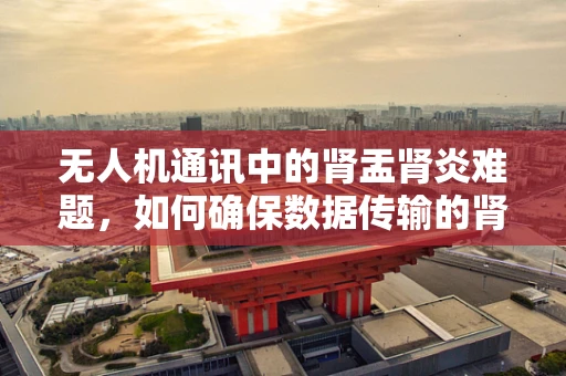 无人机通讯中的肾盂肾炎难题，如何确保数据传输的肾脏健康？