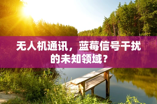 无人机通讯，蓝莓信号干扰的未知领域？