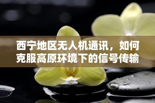 西宁地区无人机通讯，如何克服高原环境下的信号传输挑战？