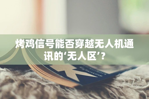 烤鸡信号能否穿越无人机通讯的‘无人区’？