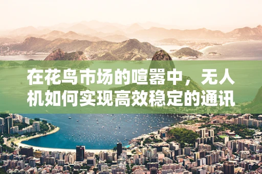 在花鸟市场的喧嚣中，无人机如何实现高效稳定的通讯联络？