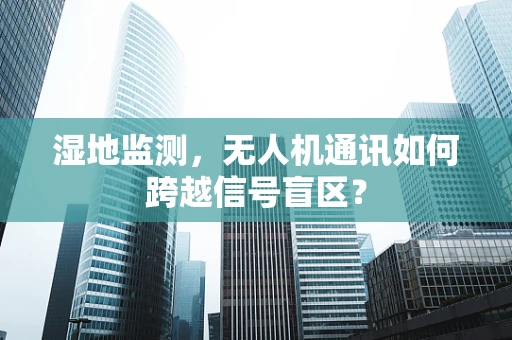 湿地监测，无人机通讯如何跨越信号盲区？