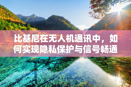 比基尼在无人机通讯中，如何实现隐私保护与信号畅通？