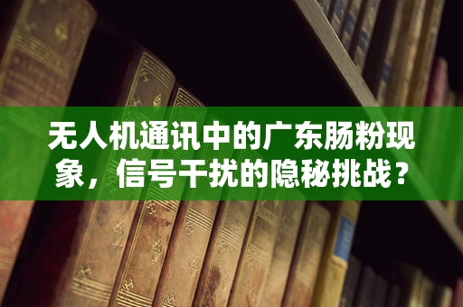 无人机通讯中的广东肠粉现象，信号干扰的隐秘挑战？