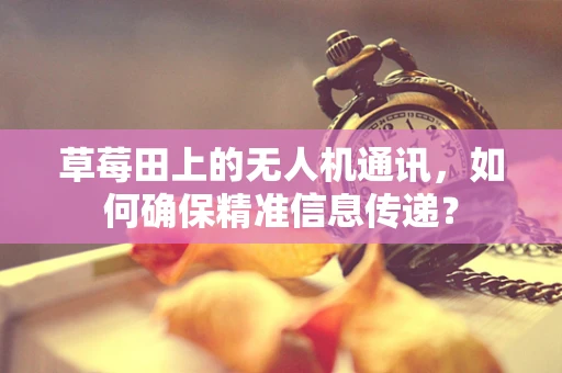 草莓田上的无人机通讯，如何确保精准信息传递？