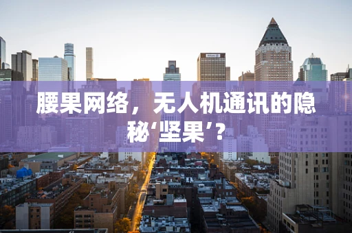 腰果网络，无人机通讯的隐秘‘坚果’？