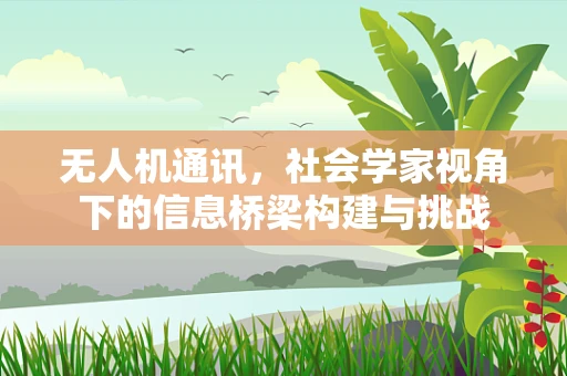 无人机通讯，社会学家视角下的信息桥梁构建与挑战