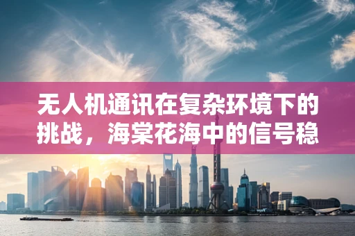无人机通讯在复杂环境下的挑战，海棠花海中的信号稳定与安全