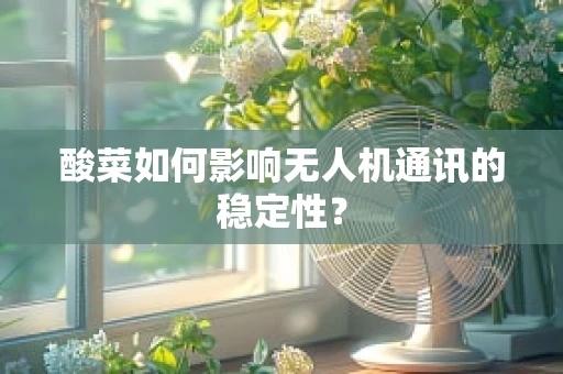 酸菜如何影响无人机通讯的稳定性？