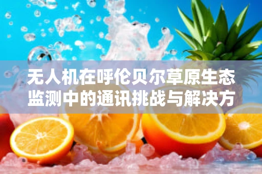 无人机在呼伦贝尔草原生态监测中的通讯挑战与解决方案