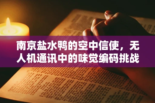南京盐水鸭的空中信使，无人机通讯中的味觉编码挑战