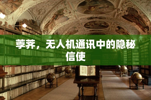 荸荠，无人机通讯中的隐秘信使