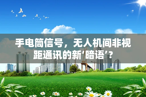 手电筒信号，无人机间非视距通讯的新‘暗语’？