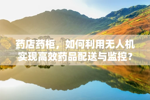 药店药柜，如何利用无人机实现高效药品配送与监控？