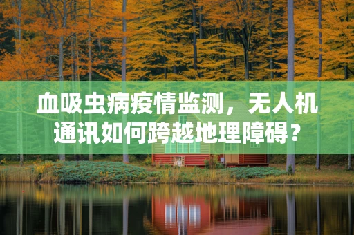 血吸虫病疫情监测，无人机通讯如何跨越地理障碍？