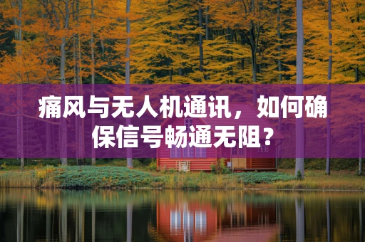 痛风与无人机通讯，如何确保信号畅通无阻？