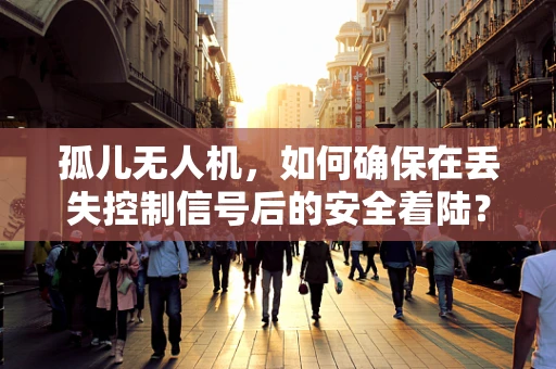孤儿无人机，如何确保在丢失控制信号后的安全着陆？