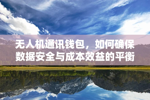 无人机通讯钱包，如何确保数据安全与成本效益的平衡？