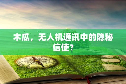 木瓜，无人机通讯中的隐秘信使？