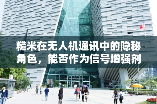 糙米在无人机通讯中的隐秘角色，能否作为信号增强剂？
