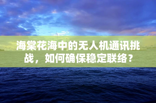 海棠花海中的无人机通讯挑战，如何确保稳定联络？