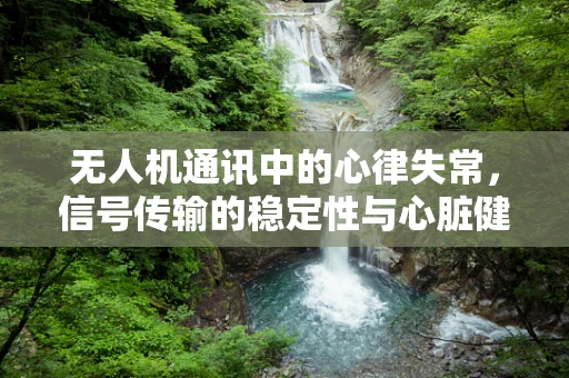 无人机通讯中的心律失常，信号传输的稳定性与心脏健康有何异曲同工之处？