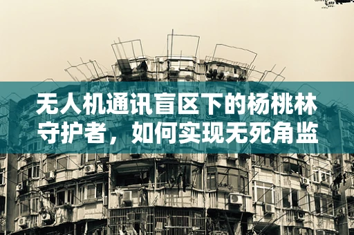 无人机通讯盲区下的杨桃林守护者，如何实现无死角监控？