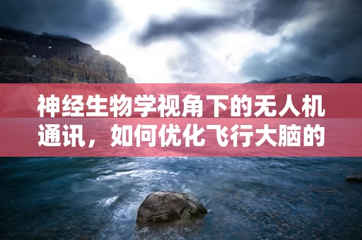 神经生物学视角下的无人机通讯，如何优化飞行大脑的连接？