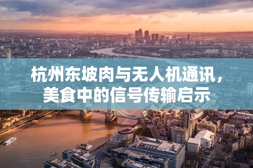 杭州东坡肉与无人机通讯，美食中的信号传输启示