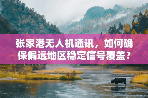 张家港无人机通讯，如何确保偏远地区稳定信号覆盖？