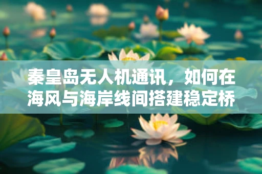 秦皇岛无人机通讯，如何在海风与海岸线间搭建稳定桥梁？