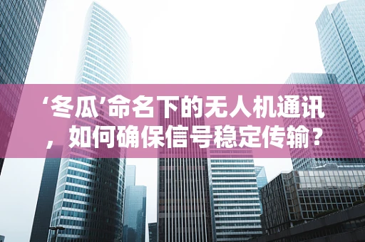 ‘冬瓜’命名下的无人机通讯，如何确保信号稳定传输？