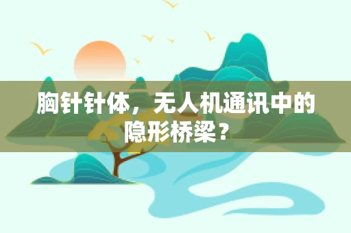 胸针针体，无人机通讯中的隐形桥梁？