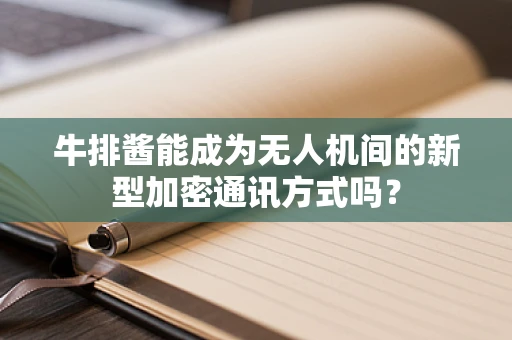 牛排酱能成为无人机间的新型加密通讯方式吗？