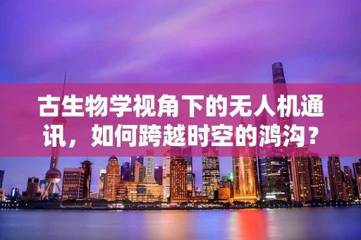 古生物学视角下的无人机通讯，如何跨越时空的鸿沟？