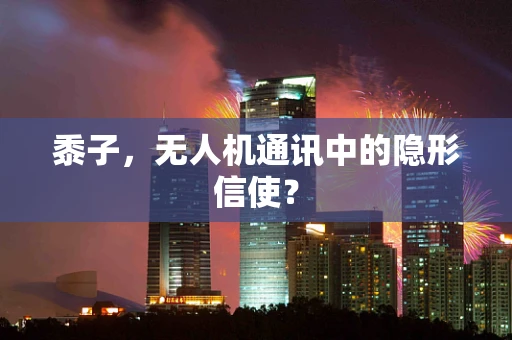 黍子，无人机通讯中的隐形信使？