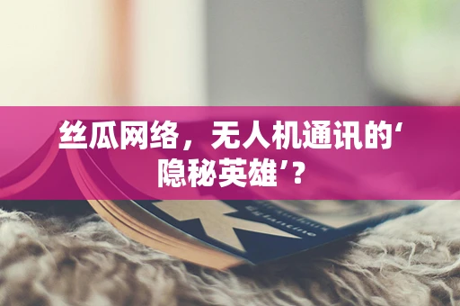 丝瓜网络，无人机通讯的‘隐秘英雄’？