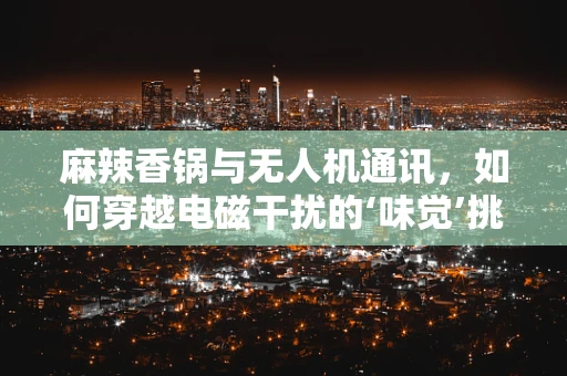 麻辣香锅与无人机通讯，如何穿越电磁干扰的‘味觉’挑战？