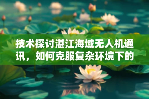 技术探讨湛江海域无人机通讯，如何克服复杂环境下的信号稳定传输？