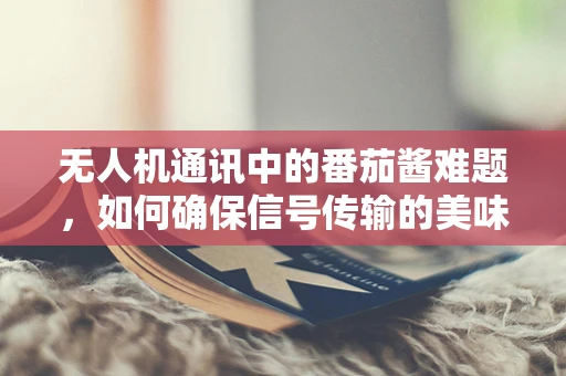 无人机通讯中的番茄酱难题，如何确保信号传输的美味与稳定？