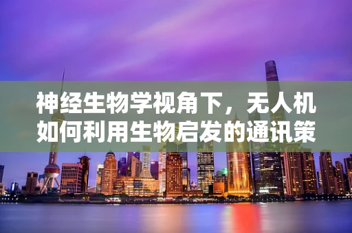 神经生物学视角下，无人机如何利用生物启发的通讯策略提升信息传输效率？