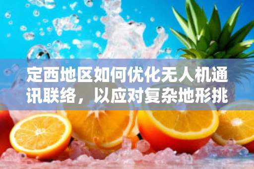 定西地区如何优化无人机通讯联络，以应对复杂地形挑战？