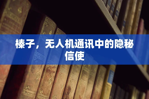 榛子，无人机通讯中的隐秘信使