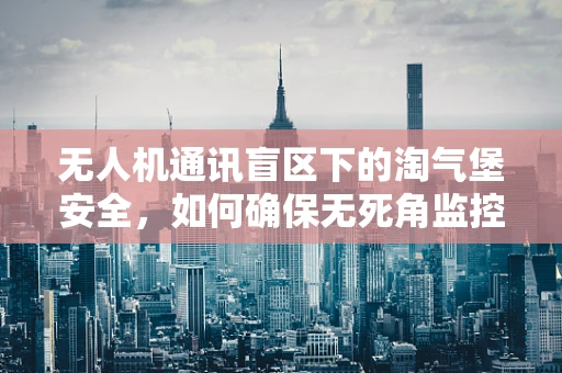 无人机通讯盲区下的淘气堡安全，如何确保无死角监控？