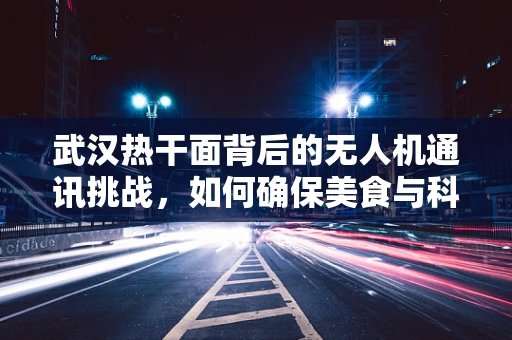 武汉热干面背后的无人机通讯挑战，如何确保美食与科技的无缝连接？