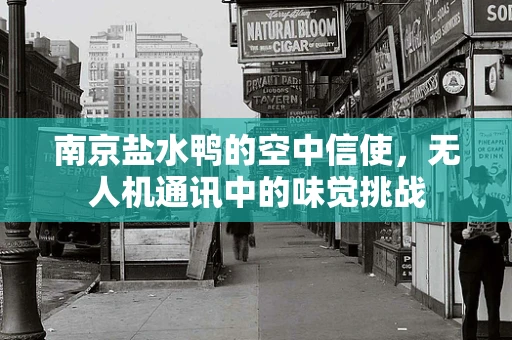 南京盐水鸭的空中信使，无人机通讯中的味觉挑战