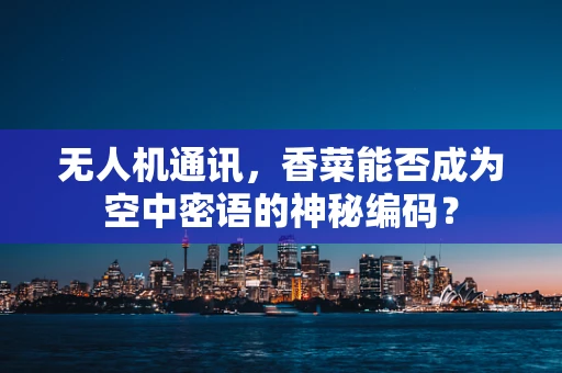 无人机通讯，香菜能否成为空中密语的神秘编码？