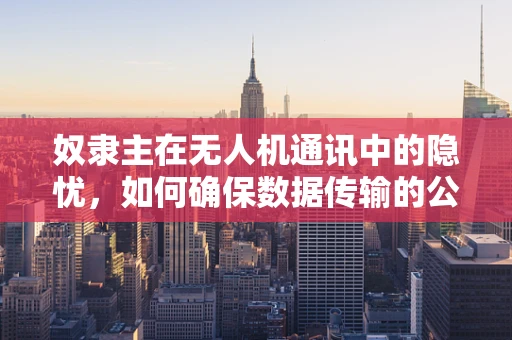 奴隶主在无人机通讯中的隐忧，如何确保数据传输的公平与安全？
