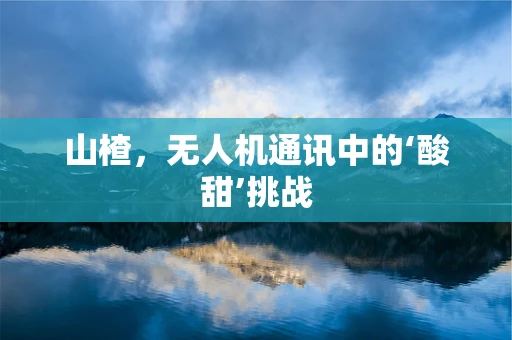 山楂，无人机通讯中的‘酸甜’挑战