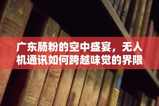 广东肠粉的空中盛宴，无人机通讯如何跨越味觉的界限？